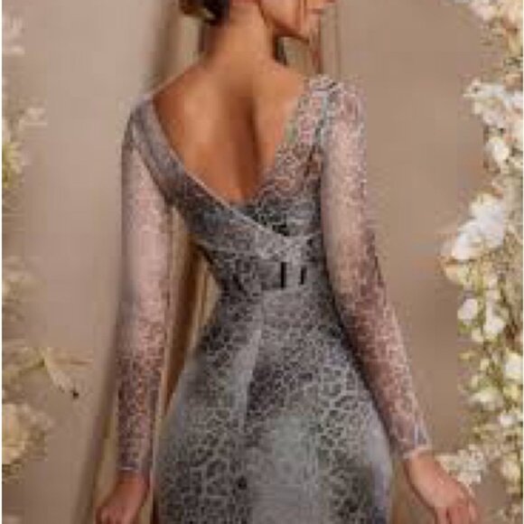 Leopard Print Mesh Dress - Picture 2 of 6